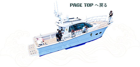 先頭へ戻る